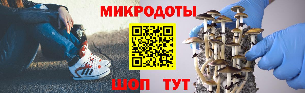 Морозовск  Псилоцибиновые грибы мухоморы  Вход с VPN 